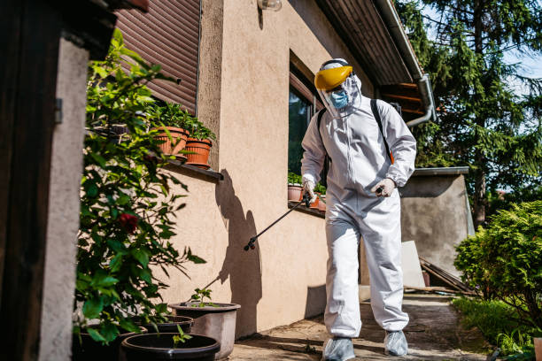 Best Best Pest Control Companies  in New Waverly, TX