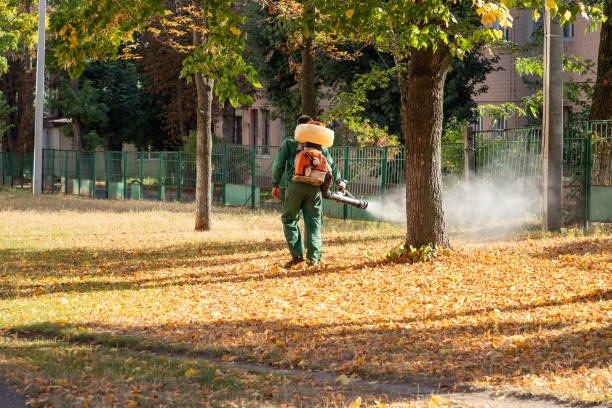 Best Residential Pest Control  in New Waverly, TX