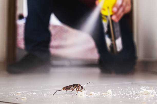 Best Affordable Pest Control Services  in New Waverly, TX