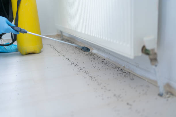 Best Pest Prevention Services  in New Waverly, TX