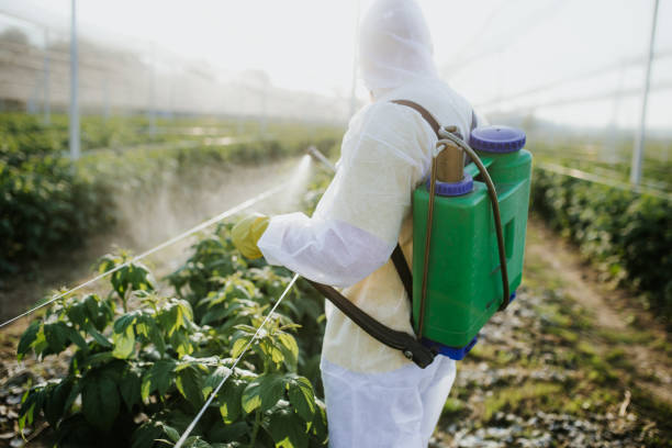 Best Wildlife Control Services  in New Waverly, TX